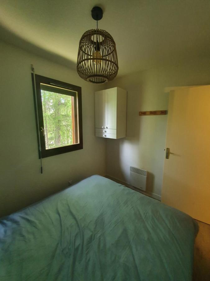 Tres Bel Appartement Vue Montagne Du Devoluy Saint-Étienne-en-Dévoluy Eksteriør billede