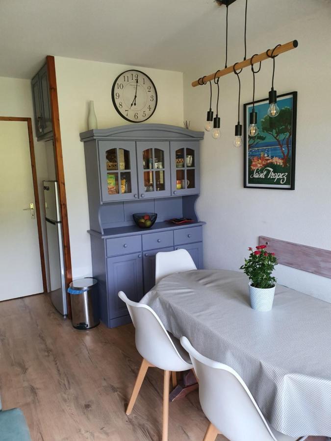 Tres Bel Appartement Vue Montagne Du Devoluy Saint-Étienne-en-Dévoluy Eksteriør billede